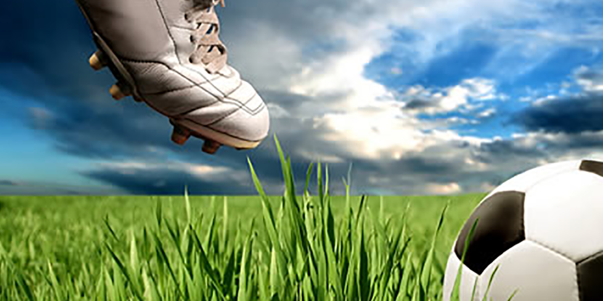 banner_svij_2021(1600×600)