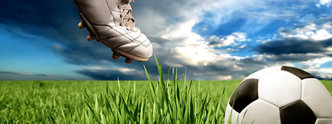 banner_svij_2021(1600×600)